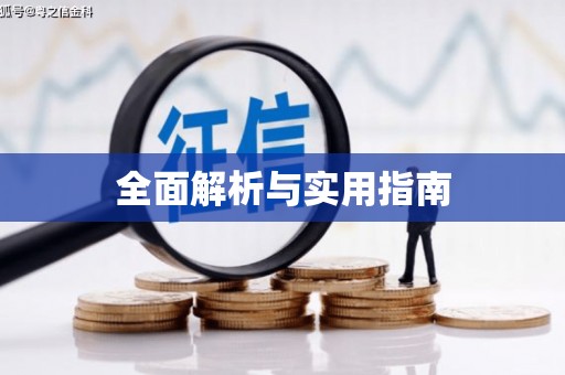 靖西全面解析与实用指南
