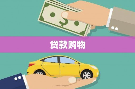 洋县贷款购物