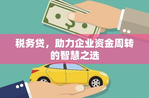 马边税务贷，助力企业资金周转的智慧之选