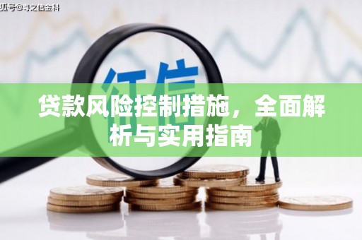 红星贷款风险控制措施，全面解析与实用指南