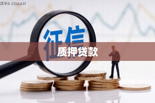 鄢陵质押贷款