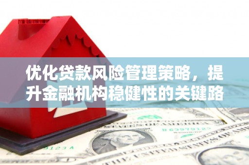 冕宁优化贷款风险管理策略，提升金融机构稳健性的关键路径