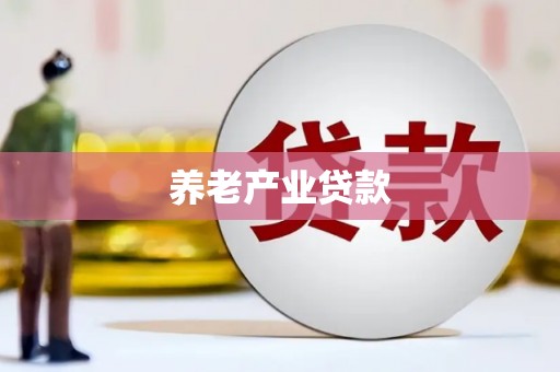 汉源养老产业贷款
