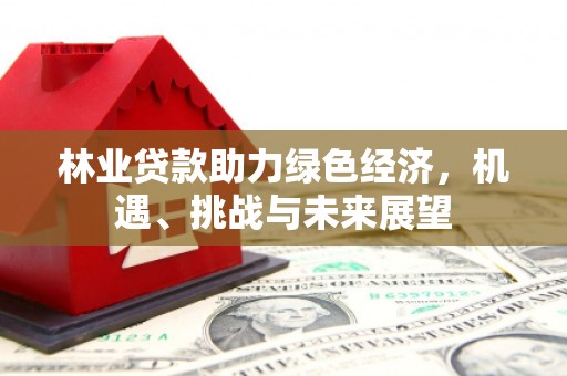 麦寮林业贷款助力绿色经济，机遇、挑战与未来展望