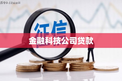 苍溪金融科技公司贷款