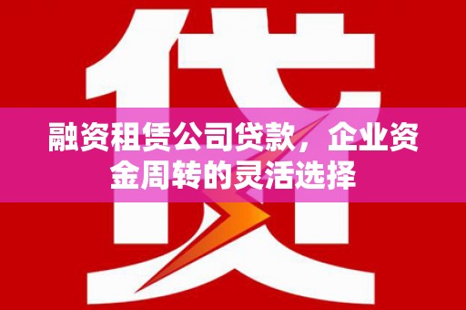 武隆融资租赁公司贷款，企业资金周转的灵活选择