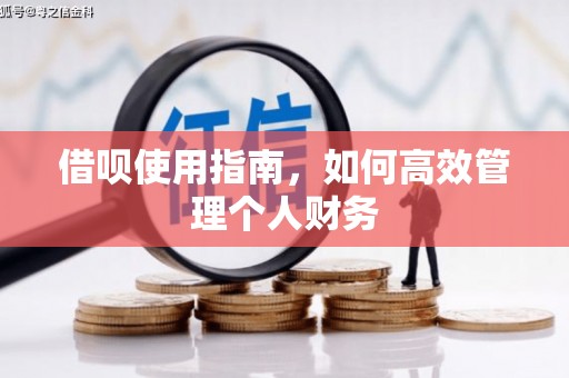 正阳借呗使用指南，如何高效管理个人财务