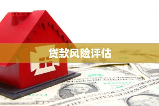 广水贷款风险评估