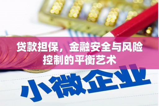 三湾贷款担保，金融安全与风险控制的平衡艺术