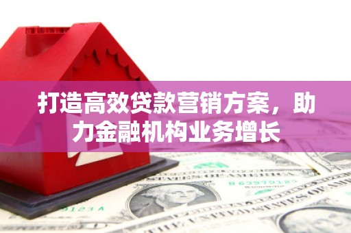 民丰打造高效贷款营销方案，助力金融机构业务增长