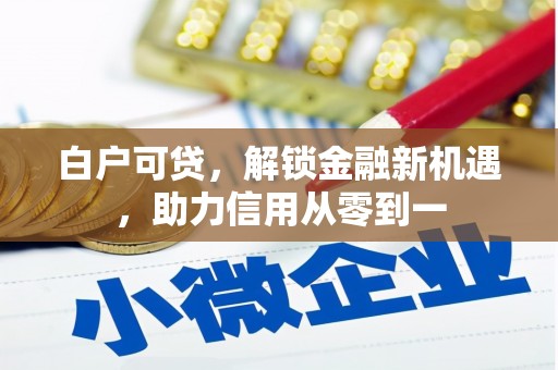 萍乡白户可贷，解锁金融新机遇，助力信用从零到一
