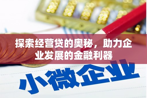 东乡探索经营贷的奥秘，助力企业发展的金融利器