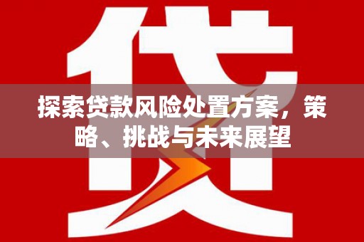 番路探索贷款风险处置方案，策略、挑战与未来展望