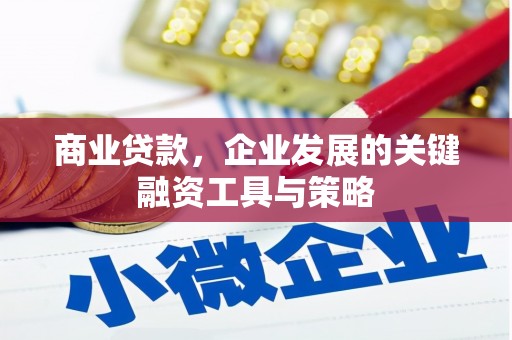 沙湾商业贷款，企业发展的关键融资工具与策略
