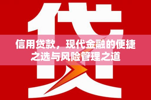 民和信用贷款，现代金融的便捷之选与风险管理之道