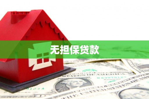 称多无担保贷款
