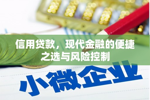 任城信用贷款，现代金融的便捷之选与风险控制