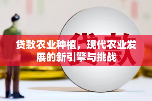 吴川贷款农业种植，现代农业发展的新引擎与挑战