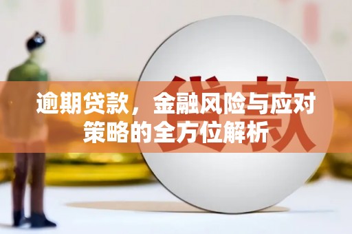 安南逾期贷款，金融风险与应对策略的全方位解析