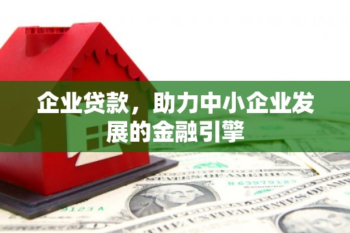 威宁企业贷款，助力中小企业发展的金融引擎