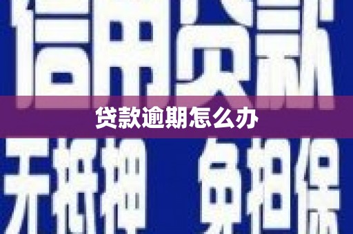 南充贷款逾期怎么办