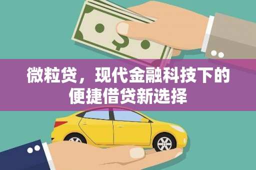 苍溪微粒贷，现代金融科技下的便捷借贷新选择