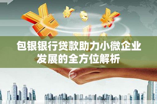 石家庄包银银行贷款助力小微企业发展的全方位解析