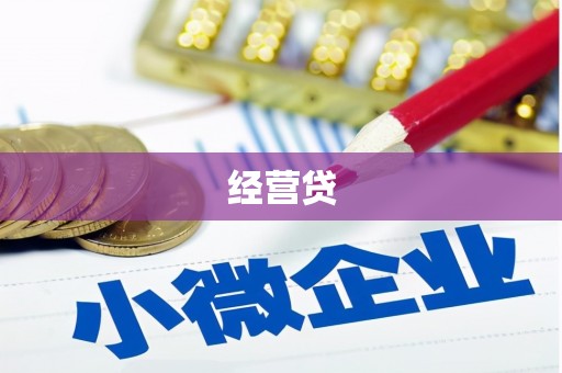 宛城经营贷