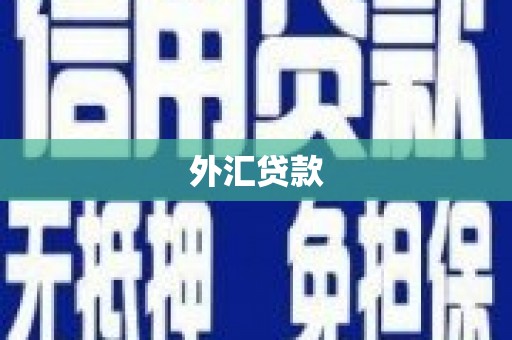 阳春外汇贷款