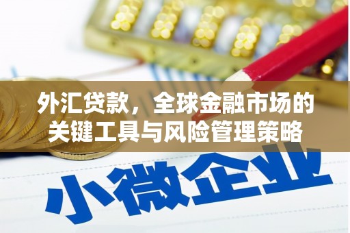 吕梁外汇贷款，全球金融市场的关键工具与风险管理策略