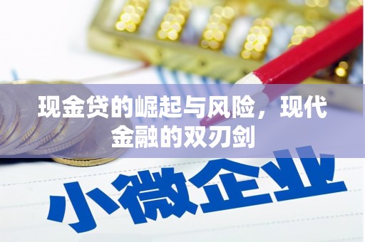 新林现金贷的崛起与风险，现代金融的双刃剑