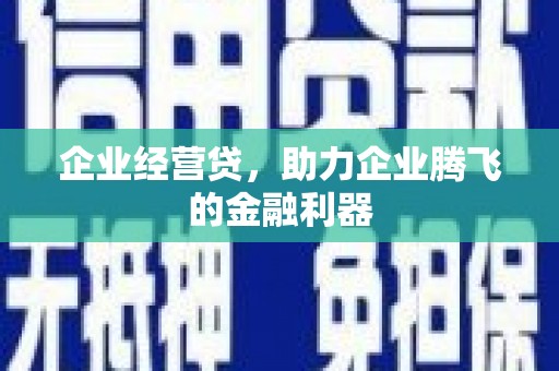 镇巴企业经营贷，助力企业腾飞的金融利器