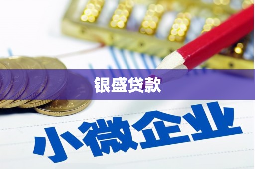 琼中银盛贷款
