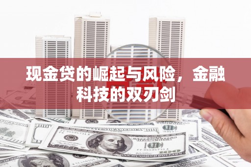 秦淮现金贷的崛起与风险，金融科技的双刃剑