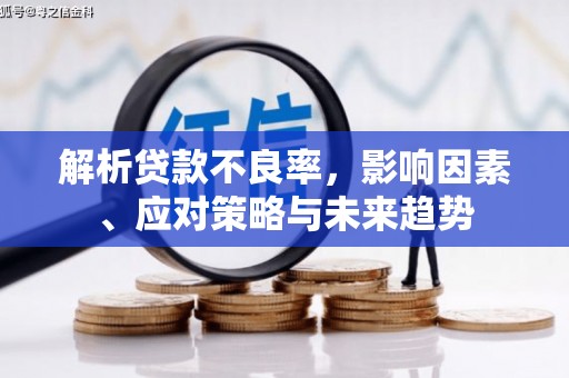 蒲城解析贷款不良率，影响因素、应对策略与未来趋势