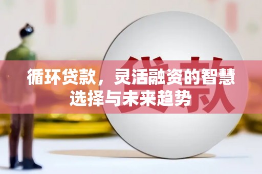 仁寿循环贷款，灵活融资的智慧选择与未来趋势