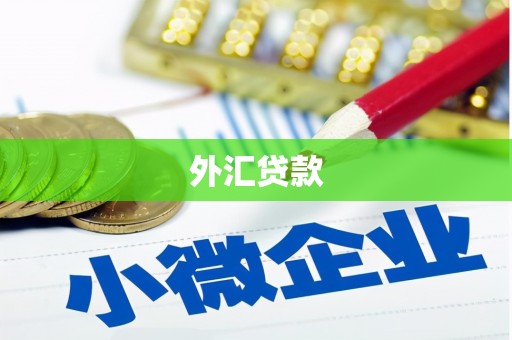 武安外汇贷款