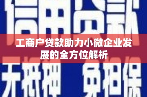 荔城工商户贷款助力小微企业发展的全方位解析