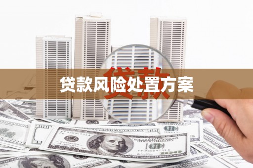 单县贷款风险处置方案
