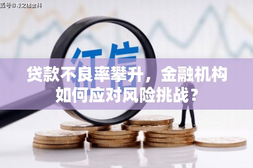 丰原贷款不良率攀升，金融机构如何应对风险挑战？