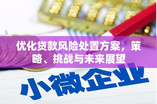 兴和优化贷款风险处置方案，策略、挑战与未来展望