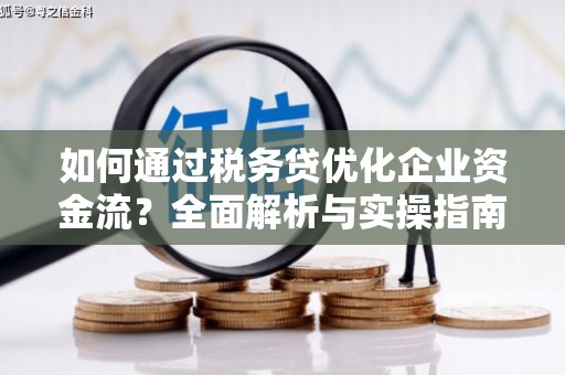 安定如何通过税务贷优化企业资金流？全面解析与实操指南