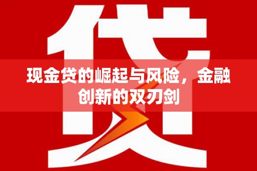 普湾新区现金贷的崛起与风险，金融创新的双刃剑