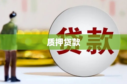 会理质押贷款