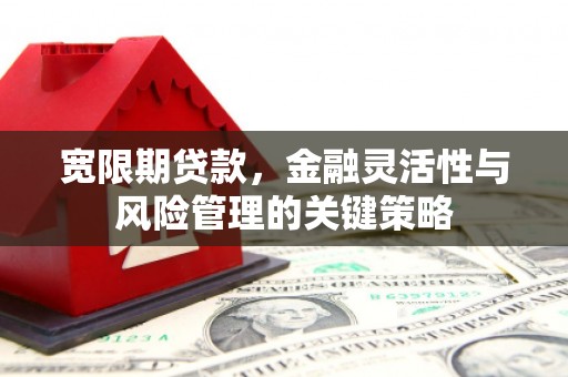 雨城宽限期贷款，金融灵活性与风险管理的关键策略