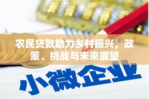 盐田农民贷款助力乡村振兴，政策、挑战与未来展望