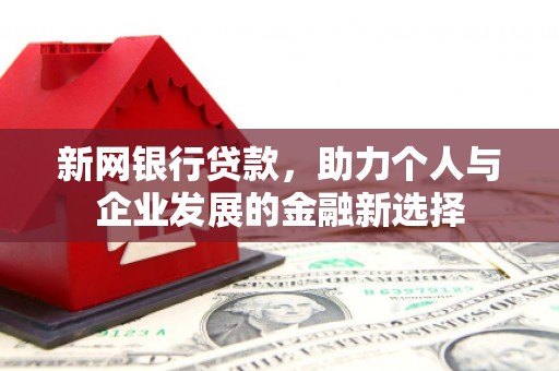 坪山新区新网银行贷款，助力个人与企业发展的金融新选择
