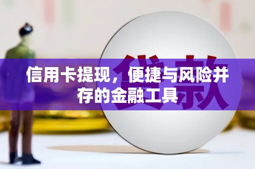 盐池信用卡提现，便捷与风险并存的金融工具