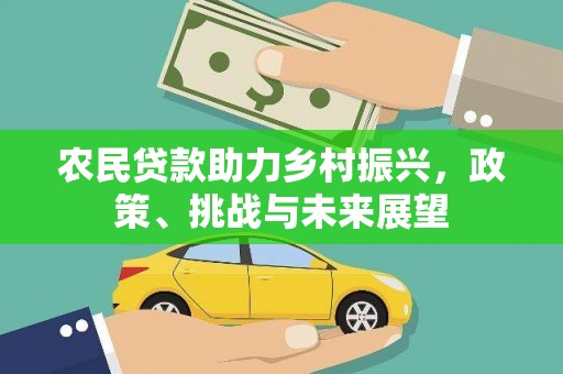 新华农民贷款助力乡村振兴，政策、挑战与未来展望