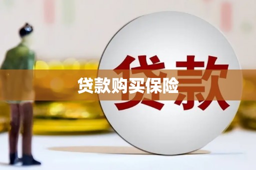 丘北贷款购买保险